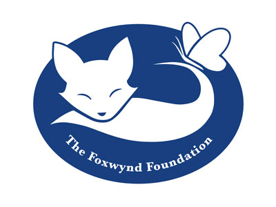 ChildSafe-Partner-The-Foxwynd-Foundation EKONA YOUTH AND SPORT ACADEMY PTYPartner The Foxwynd Foundation